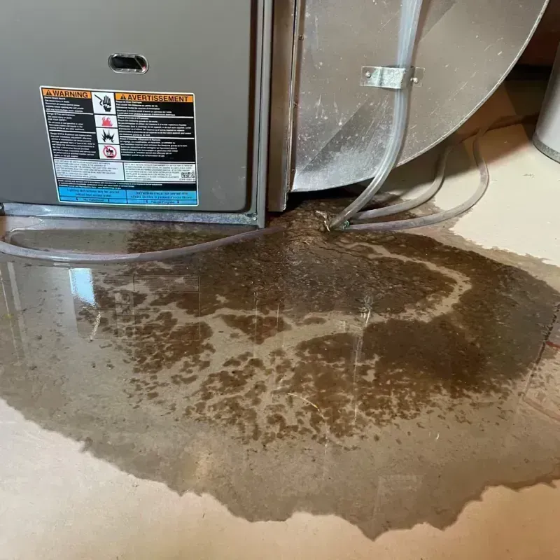 Appliance Leak Cleanup in South Hill, VA